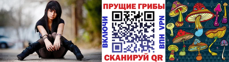 Галлюциногенные грибы прущие грибы  Эртиль 